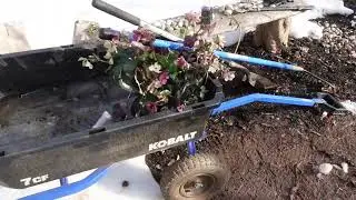 Расчистка большего пространства для лесного сада и уборка мусора.