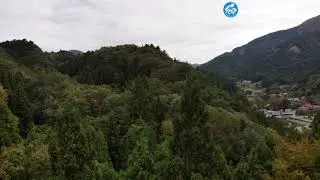 DJI Mavic Air 外で飛ばしてみた