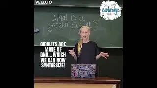 What is a genetic circuit?