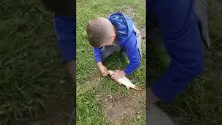Corbins first Carp - strong fighter!