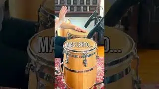 Congas | Samba-Rumba-Montuno 🔥🔥💎✅👌 #percussion #shorts #conga