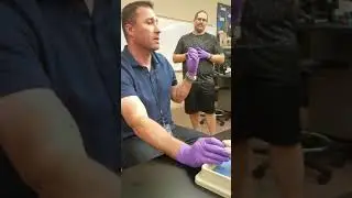 BIO 160 Phillip Garrison-Dissection of Sheep Brain