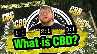 Почему вы перебарщиваете: сила КБД и соотношение ТГК/каннабиноидов