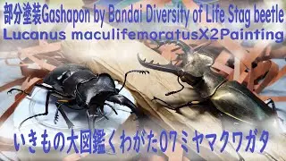 部分塗装Gashapon by Bandai Diversity of Life Stag beetle Lucanus maculifemoratusX2Painting大図鑑くわがた07ミヤマ