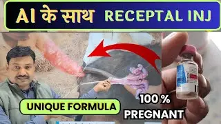 What will be the unique formula for GNRH Injection Veterinary with AI to conceive 💪🏽