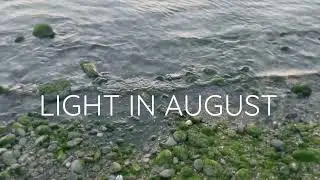 Light in August