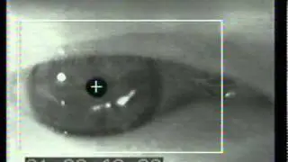 ISCAN Helicopter Pilot Eye Tracking