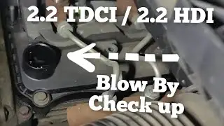 2.2 tdci / 2.2 HDI Transit Boxer утечка газов на холодном и прогретом двигателе.