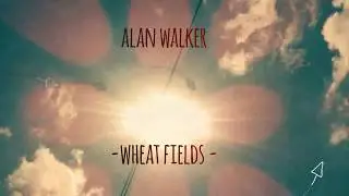 Alan Walker - wheat fields