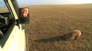 MSUToday: Learning about hyenas