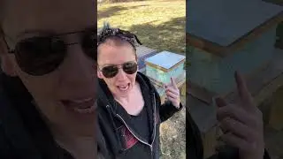 Time to build frames! Amazing beekeeping starter kit for beginners