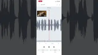 You, me, AudioStretch.