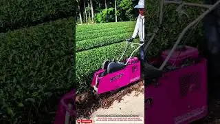 Best Innovative Tool SR2B Tiller Machine for Farming Wow Innovation