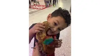 Jurassic world live tour 2020