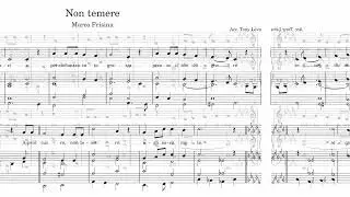 ACCOMPAGNAMENTI ORGANISTICI = 96) Non temere (Marco Frisina)