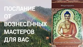 ОТ ВОЗНЕСЁННЫХ МАСТЕРОВ #short #2023 #tarotnews #trending #magic #miollife #oracle #tarot #online