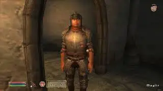 Leveling Alchemy in Oblivion be like
