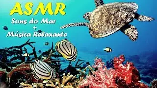 ASMR Coral Relaxante: Durma ao som do mar / Fish Swimming (No Talking) ~ Portugu&ecirc;s