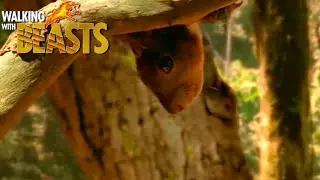 Walking with Trilogy [2001] (Walking with Beasts) - Meniscoessus Screen Time