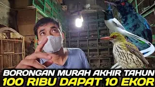 CEK HARGA ! KEPODANG HUTAN, CIPOH JANTUNG, TALI POCONG PUTIH, CUCAK BIRU, DLL DIKIOS NASIKIN