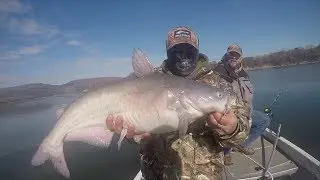 Suspend Drifting for Catfish in the Winter