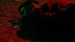 Secret Video 2022, #Horror #Darkweb #News