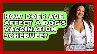 How Does Age Affect A Dog's Vaccination Schedule? - Ask A Pet Vet