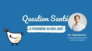 Question santé : Qu'est-ce que le phénomène du gros jabot ?