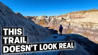 Blue Mesa Trail - Petrified Forest National Park