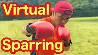 Virtual Sparring　10Rounds