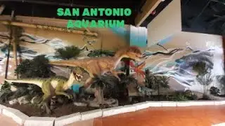 San Antonio AQUARIUM Sea to Believe Full tour 2022