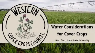 Water Considerations for Cover Crop Use
