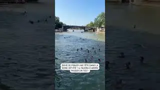 Se baigner dans la Seine &agrave; Paris cet &eacute;t&eacute; ? #leseine #paris #baignade #pariscity