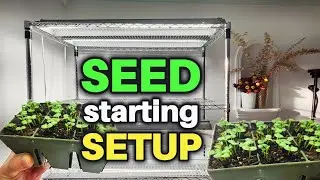 Indoor SEED starting SETUP - What You REALLY Need to Get STARTED!