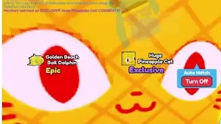 Hatching Huge Pineapple Cat! / Pet Simulator X