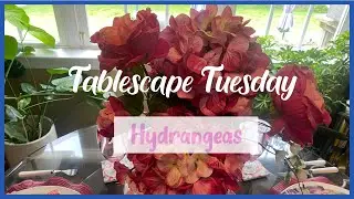 Tablescape Tuesday / Hydrangeas / Spring is Here!!! / #tablescapetuesday25
