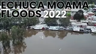 Echuca Moama Floods 2022 - Port of Echuca Drone Flyover