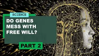 Can you rewire your child&rsquo;s brain? Dr Hannah Critchlow on neuroscience, epigenetics and fate
