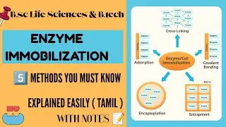 Enzyme Immobilization Techniques Made Easy 📑(Tamil) | Basics to Brain #basicstobrain #biotechnology