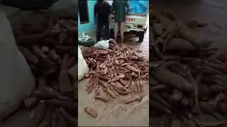 Sarapan bubur lanjut ke rumah adikku di Samigaluh Kulonprogo 