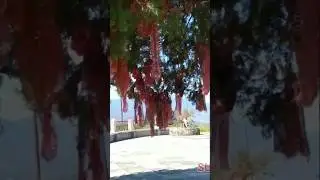 Bherabh Garhi #shortsfeed #mehalchauri #gairsain #bheravnath #devbhoomi #kumau #garhwal #jaibherabh