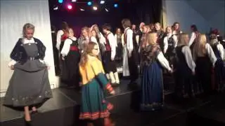 Bunadsparaden h&oslash;stfest 2012 Ringerike Folkeh&oslash;gskole