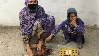 مرغی کو ♥️