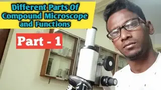Different Parts of a Compound Microscope and their Functions.