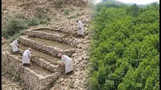 Saudi-Arabien Baut Regenerative Landwirtschaft In Der Wüste — Die Ergebnisse Sind Kaum Zu Glauben