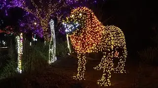 Zoolights at the Phoenix Zoo