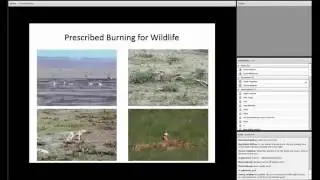 The Role of Fire in Shortgrass Rangeland