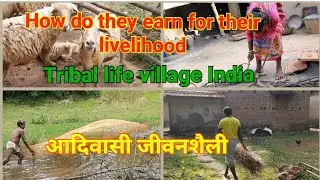 Tribal life in village | how do they earn for their livelihood | fishing | neem oil| cattle feeding