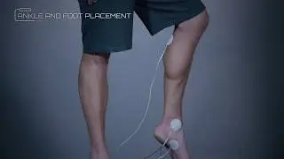 Ankle & Foot Placement Example