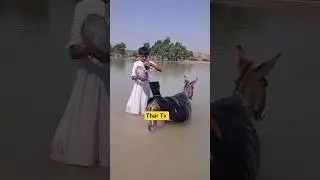 يَشْرَبُ إِنْسَانُ الصَّحْرَاءِ وَالْحَيَوَانَاتُ مِنْ مَاءٍ #WaterCrisis